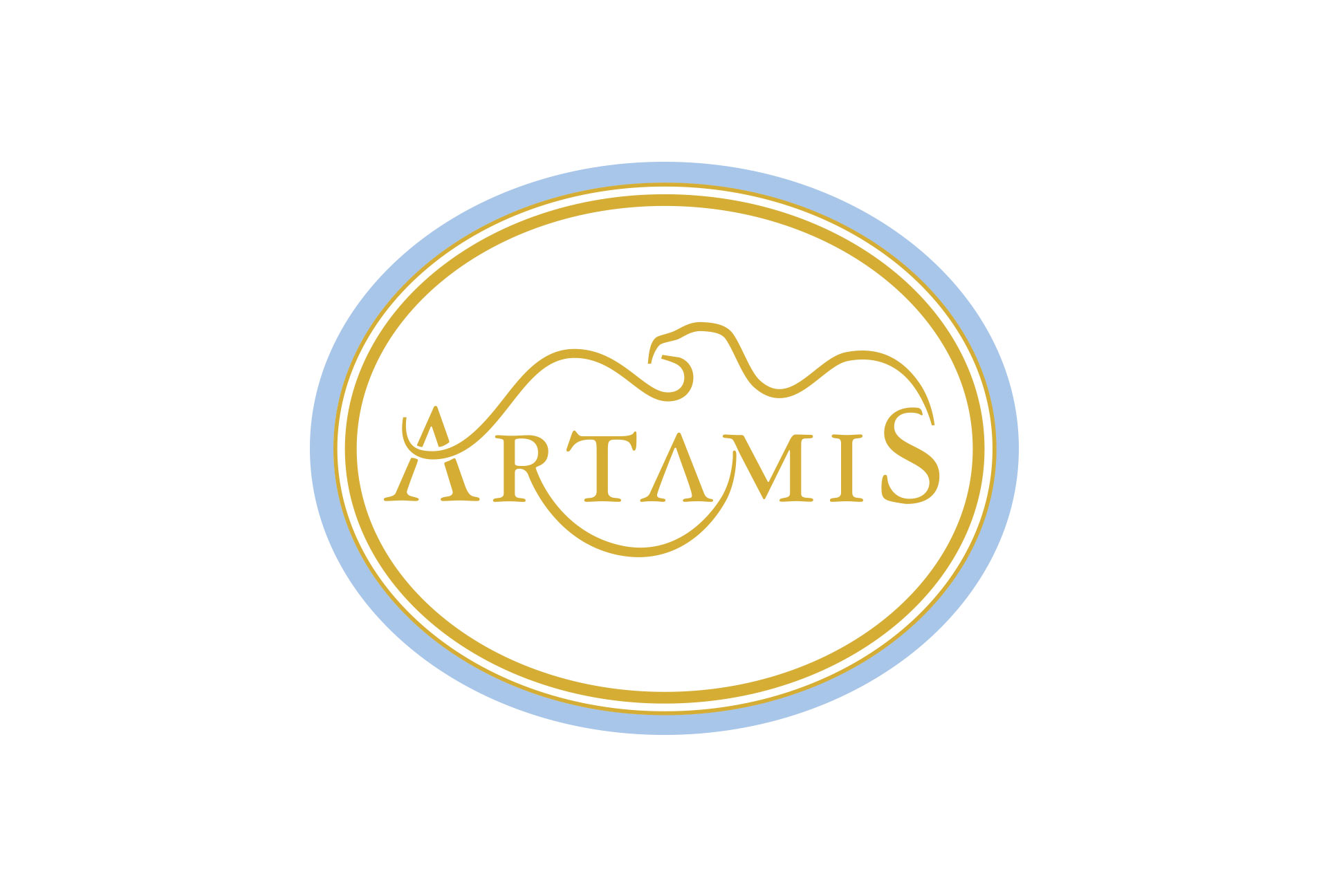 artamis branding